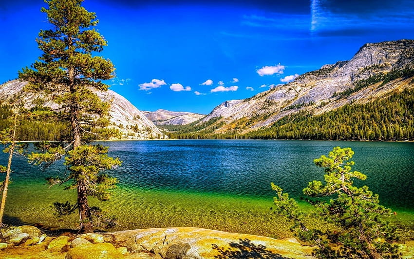夏の湖、青空、夏、風景、木、自然、山、森、湖 高画質の壁紙