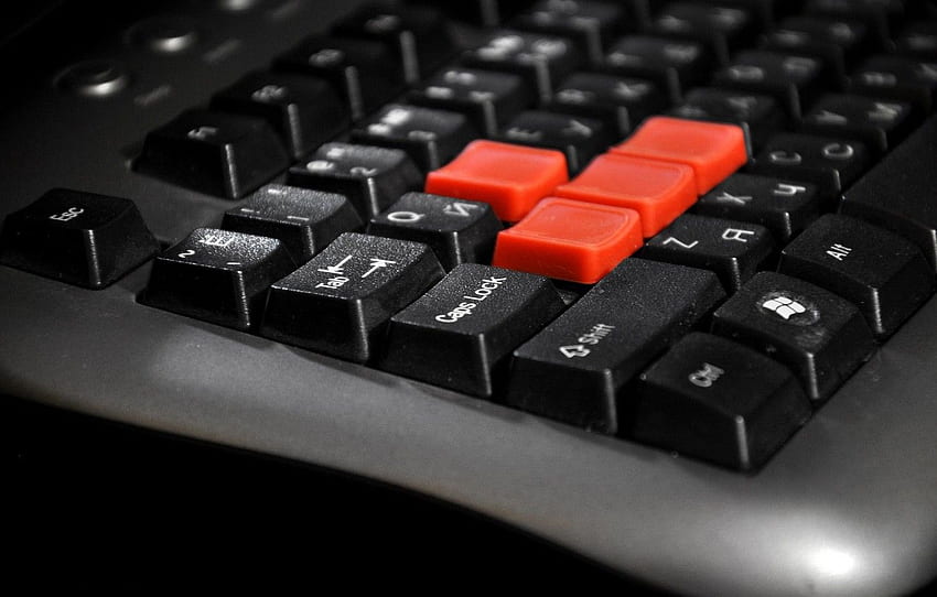 WASD, Buttons, Keys, Keyboard, A4Tech, Gaming Keyboard For , Section Hi Tech HD wallpaper