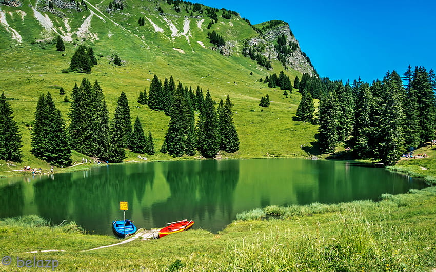 Blaues Wasser, grüne Natur, volle hohe Auflösung, sonnige Landschaft HD-Hintergrundbild
