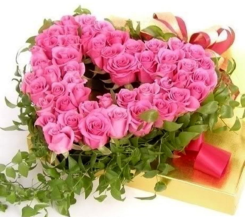 Miłość w rozkwicie, bluszcz, miłość, różowe róże, prezent, kształt serca, walentynki Tapeta HD