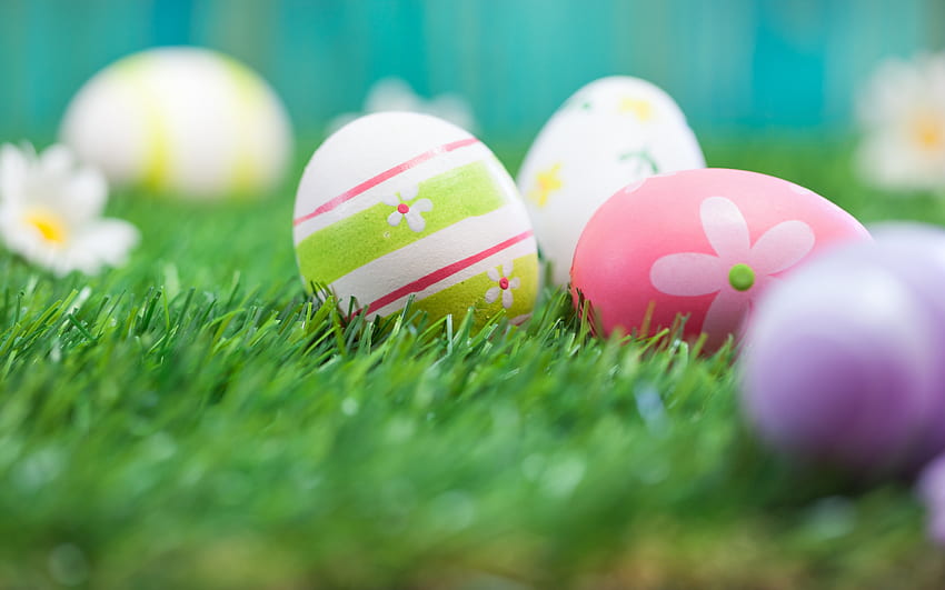 Happy Easter!, egg, pink, pasti, green, easter, grass HD wallpaper