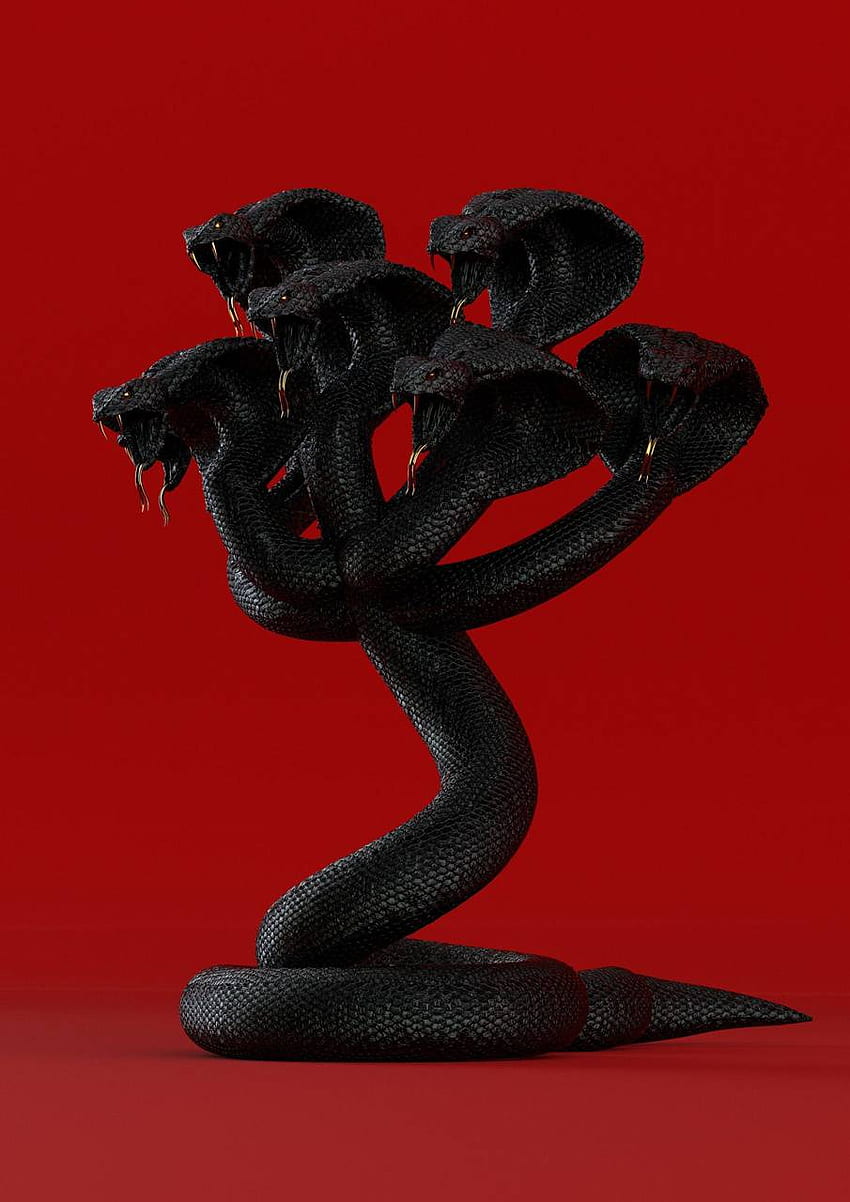 Serpenti Polyphia, serpente nero e rosso Sfondo del telefono HD