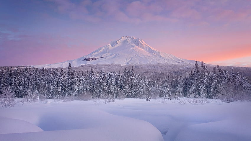 Mt. Hood, Oregon. :, Mount St. Helens Winter HD wallpaper