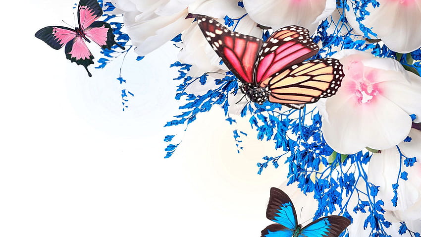 Como Novio: March 2020, Butterfly Aesthetic HD wallpaper