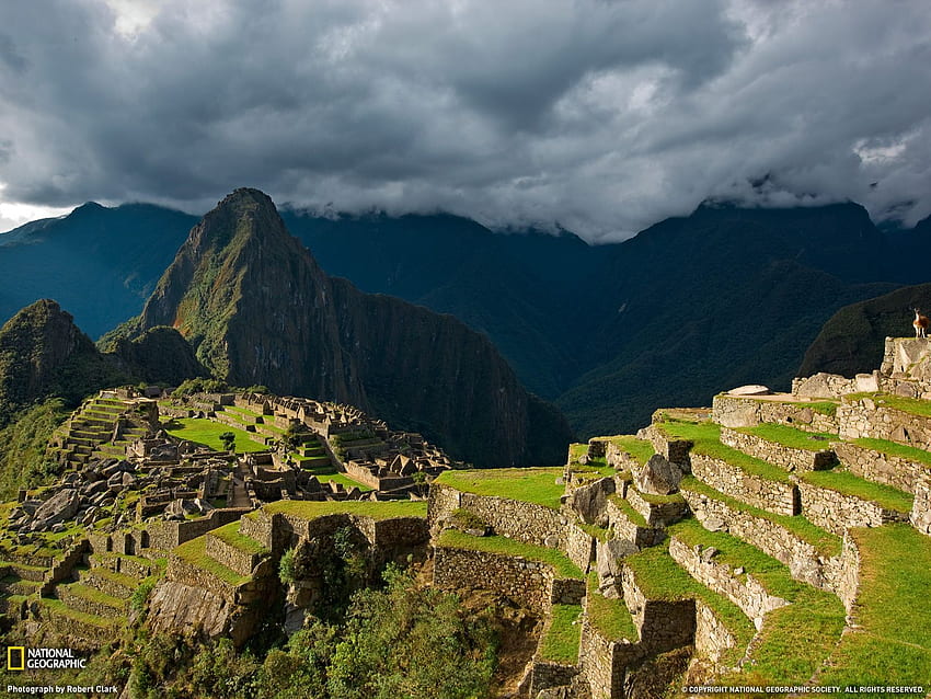 Machu Picchu HD wallpaper | Pxfuel