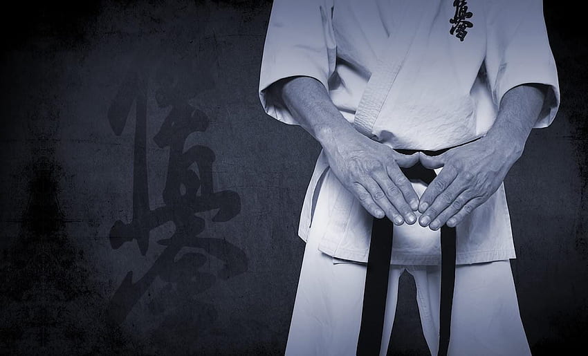 Karate Pack 2 Live Apk Personalization App Okinawa Karate Hd Wallpaper Pxfuel 6740