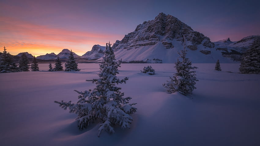 Canadá, Parque Nacional Banff, nieve, montañas, árboles, invierno, noche U fondo de pantalla