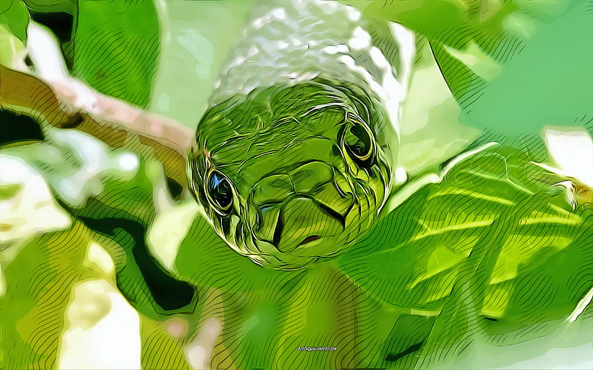 grüne Schlange, , Vektorgrafiken, grüne Schlangenzeichnung, kreative Kunst, grüne Schlangenkunst, Vektorzeichnung, Reptilien, Schlangenzeichnungen HD-Hintergrundbild