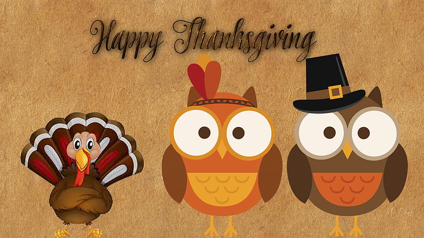 Thanksgiving Owls & Turkey, turkey, cute, November, Firefox Persona theme, owls, Native American, pilgrims, holiday, feast, e, Thanksgiving, harvest HD wallpaper