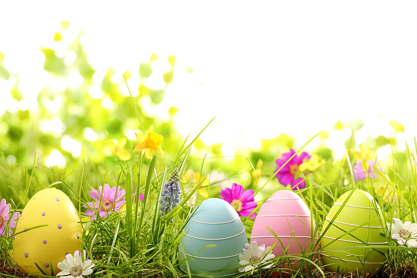 easter spring flowers eggs painted grass [] for your , Mobile & Tablet. Explore Easter Flowers . Easter Eggs, Religious Spring, Easter Floral HD wallpaper