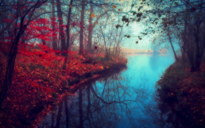 霧の秋の川、秋、自然、水、川 高画質の壁紙