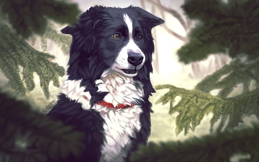 Animals, Trees, Art, Dog, Fir, Spruce, Needles, Collar HD wallpaper