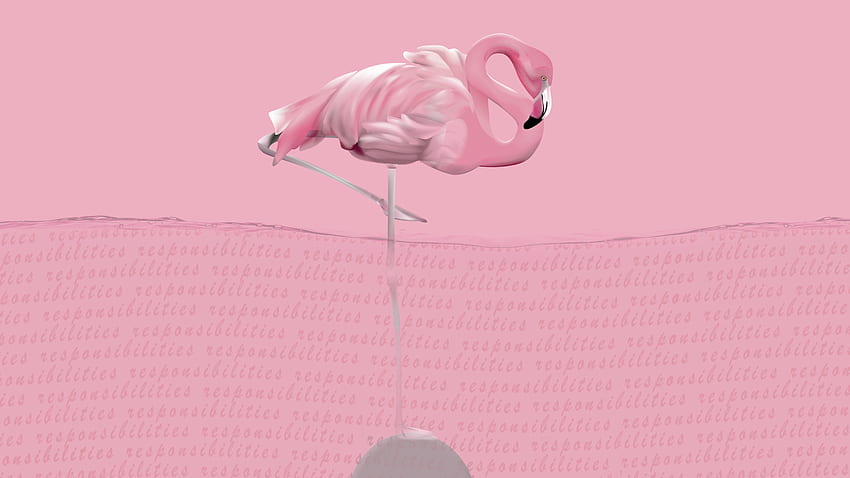 Flamingo Wallpaper  NawPic