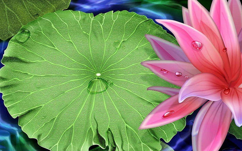 Lily Pad an Lotus, pink, pad, , water, lily, lotus HD wallpaper