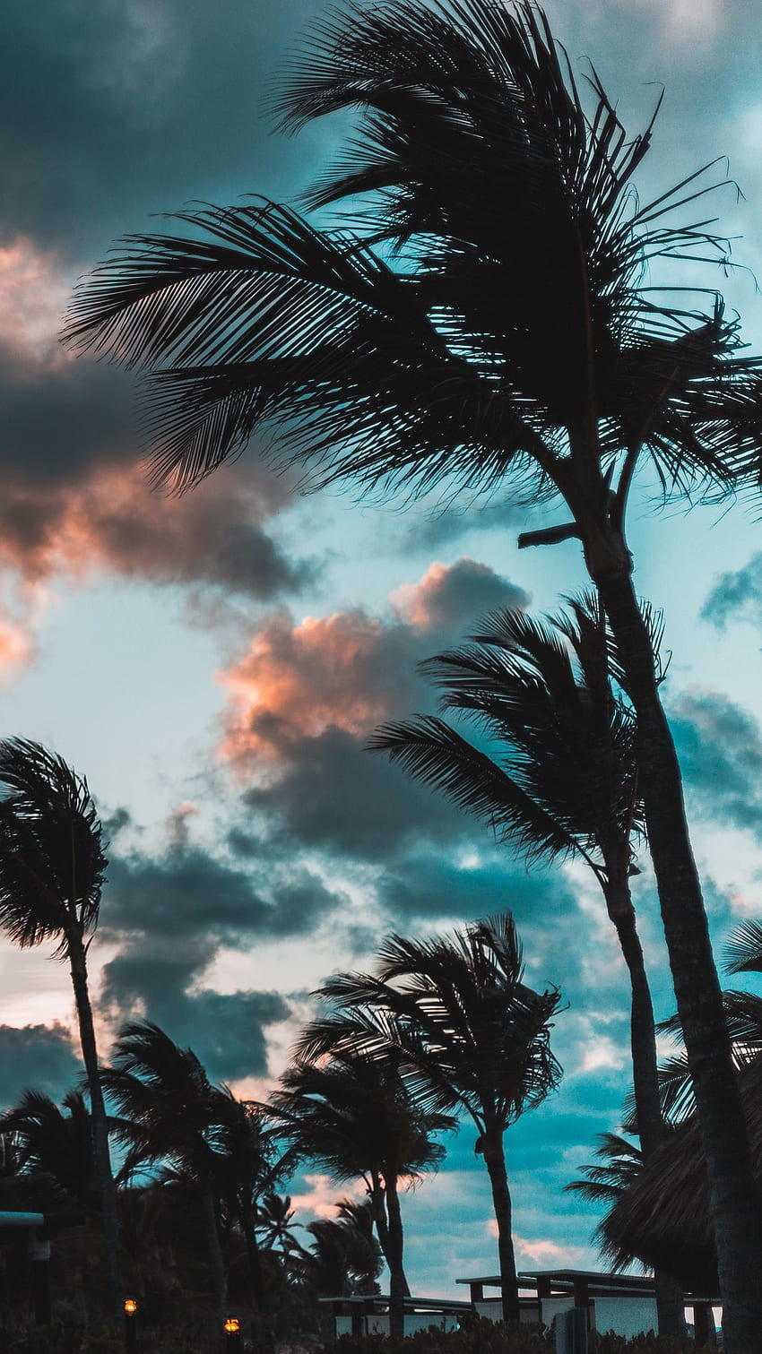 palms, wind, clouds, tropics, punta cana, dominican republic q samsung galaxy s6, s7, edge, note, lg g4 background, Dominican Beach HD phone wallpaper