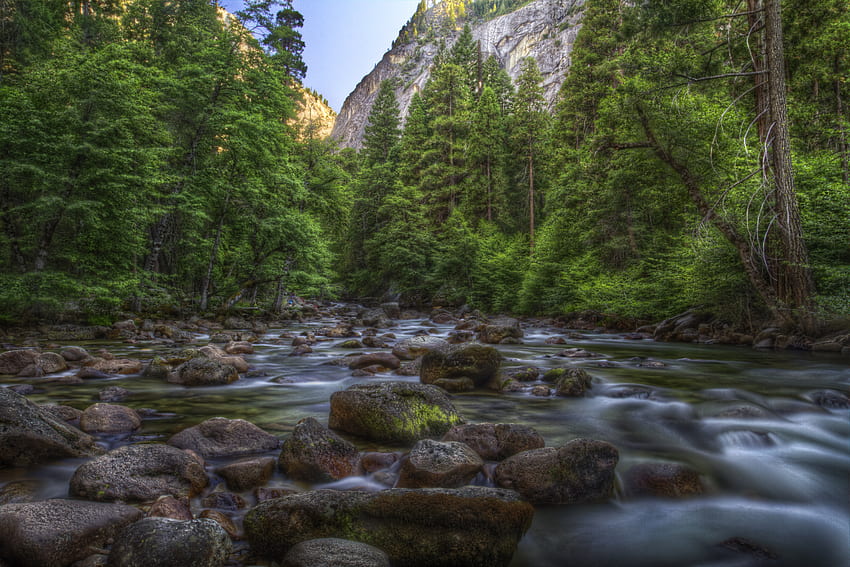 God's Creation, river, creek, trees, water, rocks HD wallpaper