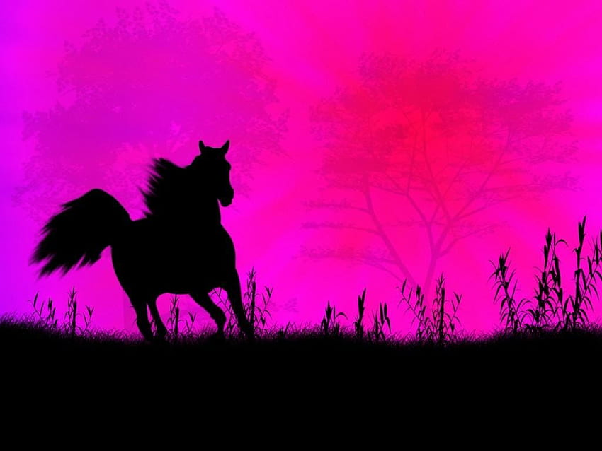 Cavalo selvagem preto contra um pôr do sol colorido, rosa, cavalo papel de parede HD