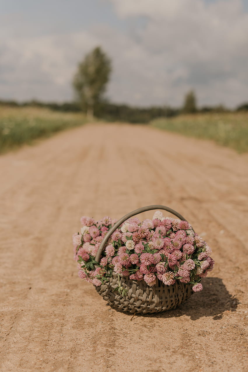 Flowers, Road, Bouquet, Basket, Clover HD phone wallpaper