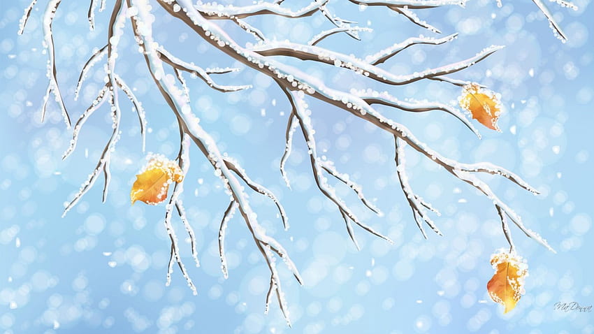 ฤดูใบไม้ร่วง ใบไม้สุดท้าย สีน้ำเงิน ฤดูหนาว ฤดูใบไม้ร่วง เย็น ต้นไม้ ใบไม้ หิมะ หิมะตก ฤดูใบไม้ร่วง ท้องฟ้า วอลล์เปเปอร์ HD