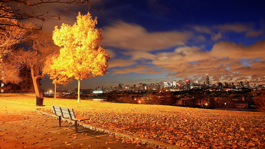 Autumn Fall Night, Autumn Evening HD wallpaper