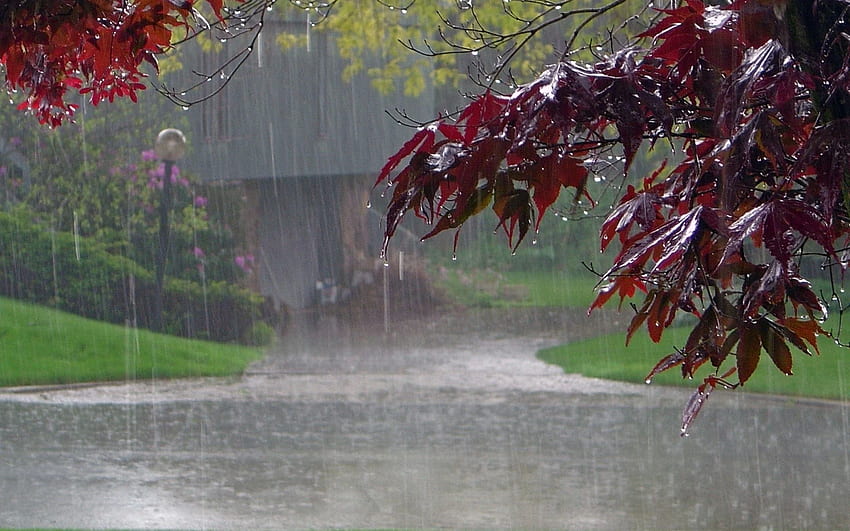 Deszcz . Tło. Grafika deszczowa, deszcz, letni deszcz, deszczowa wiosna Tapeta HD
