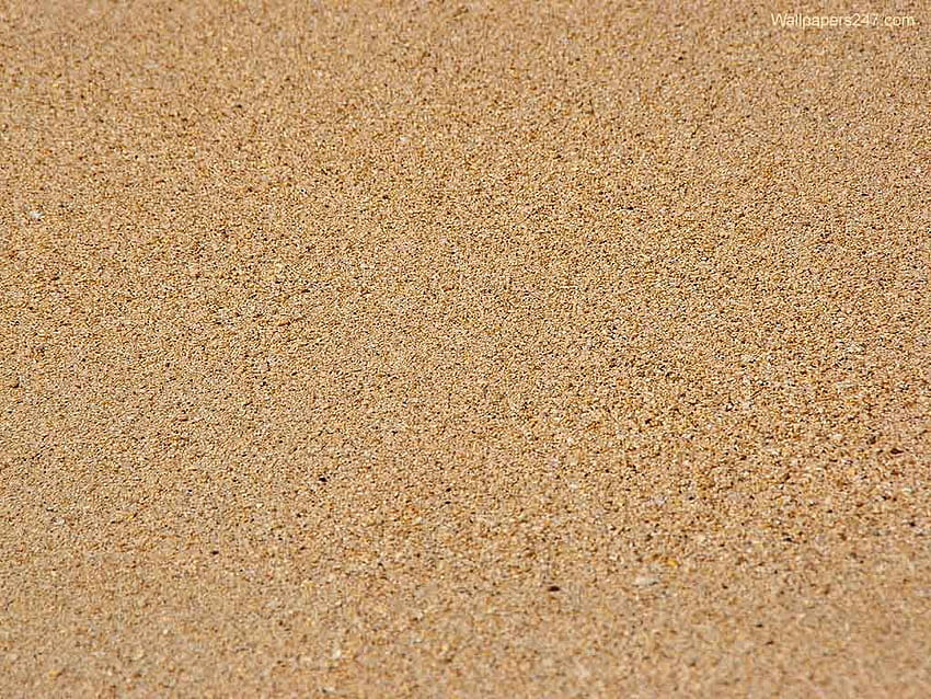 Sandpuls. Korkfliesen, Korkplattenwand HD-Hintergrundbild