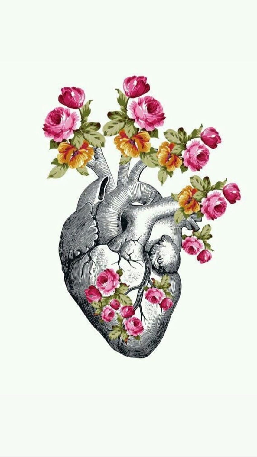Blumen. fff im Jahr 2019. Kunst, Herzkunst, Anatomiekunst, Medizinische Kunst HD-Handy-Hintergrundbild