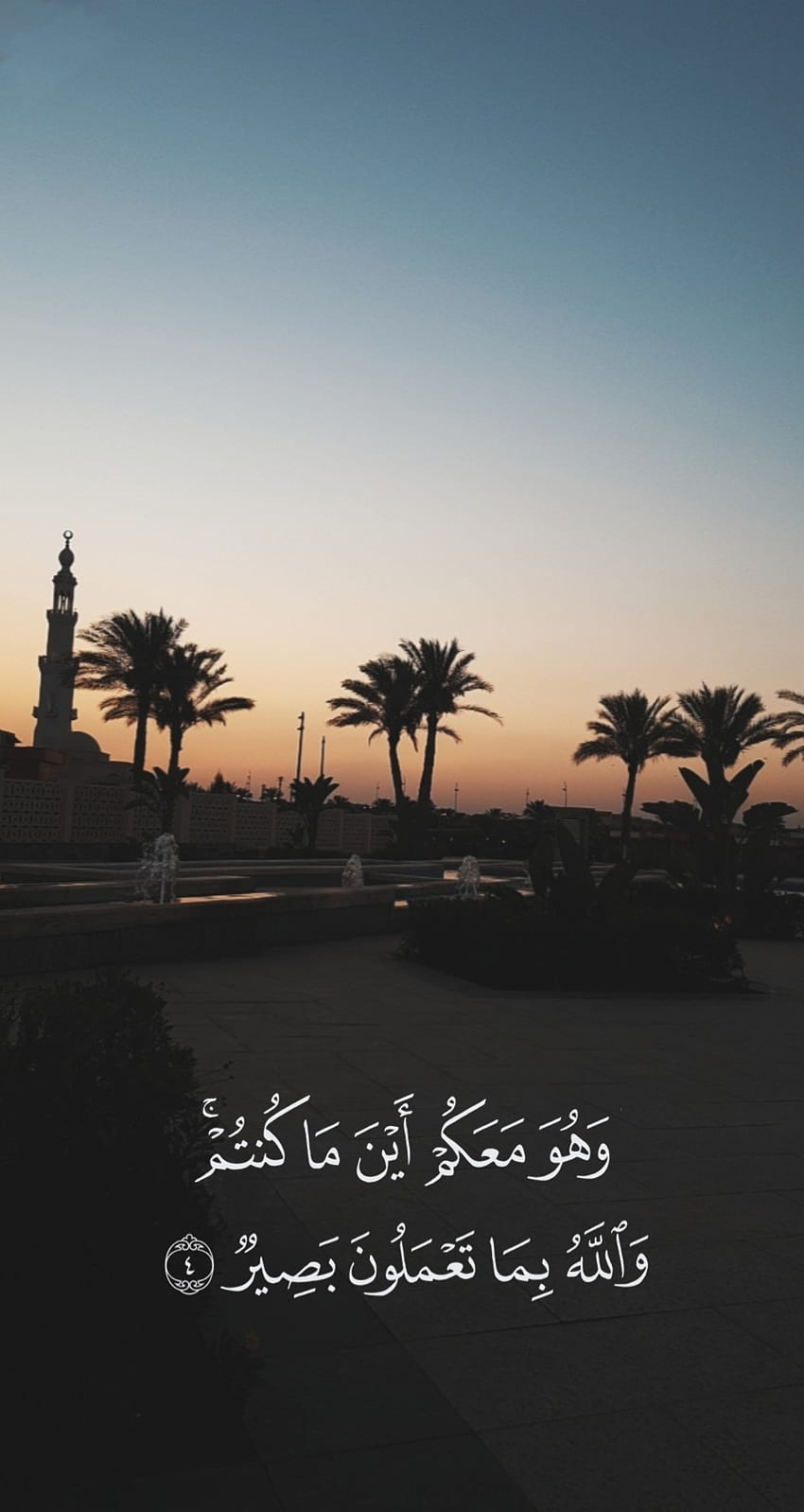 Islámico, resplandor crepuscular, cielo, mezquita, cita, naturaleza, palma, Corán, paisaje fondo de pantalla del teléfono