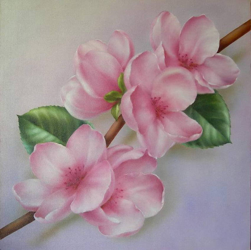 Pink Apple Blossoms, pink, Blätter, Stiel, Malerei, Blüten, grün, lieblich HD-Hintergrundbild