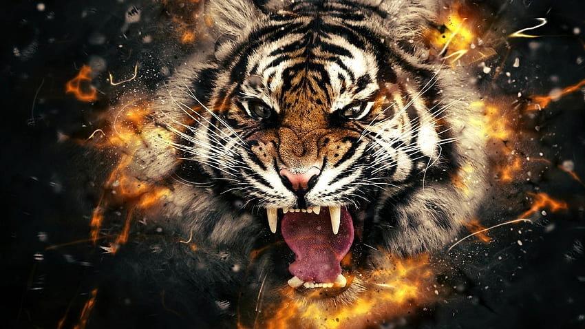Tiger brüllt HD-Hintergrundbild