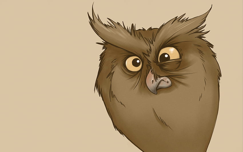 Funny, Look, Owl, Minimalism, Owl, Cartoon, Bird / and Mobile Background,  Cute Cartoon Bird HD wallpaper | Pxfuel