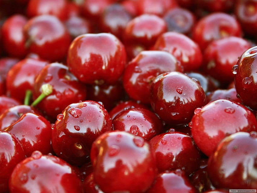 Fruits, Sweet Cherry, Background, Berries HD wallpaper