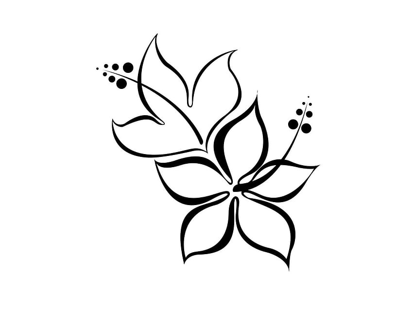 Клипарт за рисунка на цвете, рисунка на единично цвете HD тапет