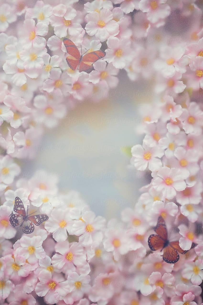Textura de flor de cerejeira e borboleta por Alita Ong. Fundo borboleta, Iphone borboleta, Flor de cerejeira Papel de parede de celular HD