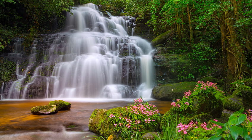 Tropikalny wodospad, tropikalny, egzotyczny, piękny, lato, kwiaty, drzewa, wodospad, kaskady, las Tapeta HD