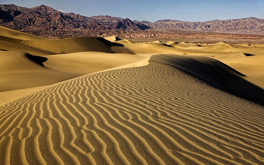 Nature, Sand, Desert, Pattern, Dunes, Links HD wallpaper