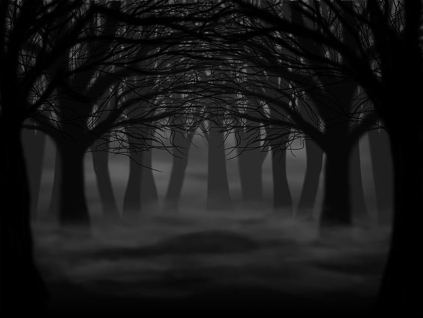พื้นหลังป่าที่น่ากลัว, ป่าที่น่ากลัวมืด วอลล์เปเปอร์ HD