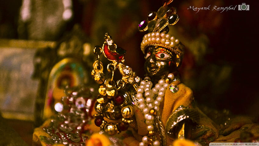 Krishna Shiva Ganesha Vishnu Hinduism, Radha Krishna, computer Wallpaper,  religion, carnival png | PNGWing