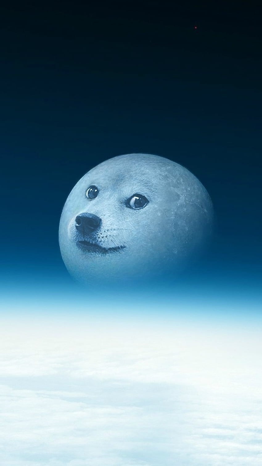Funny Memes, Moon, Smiley Dog HD phone wallpaper
