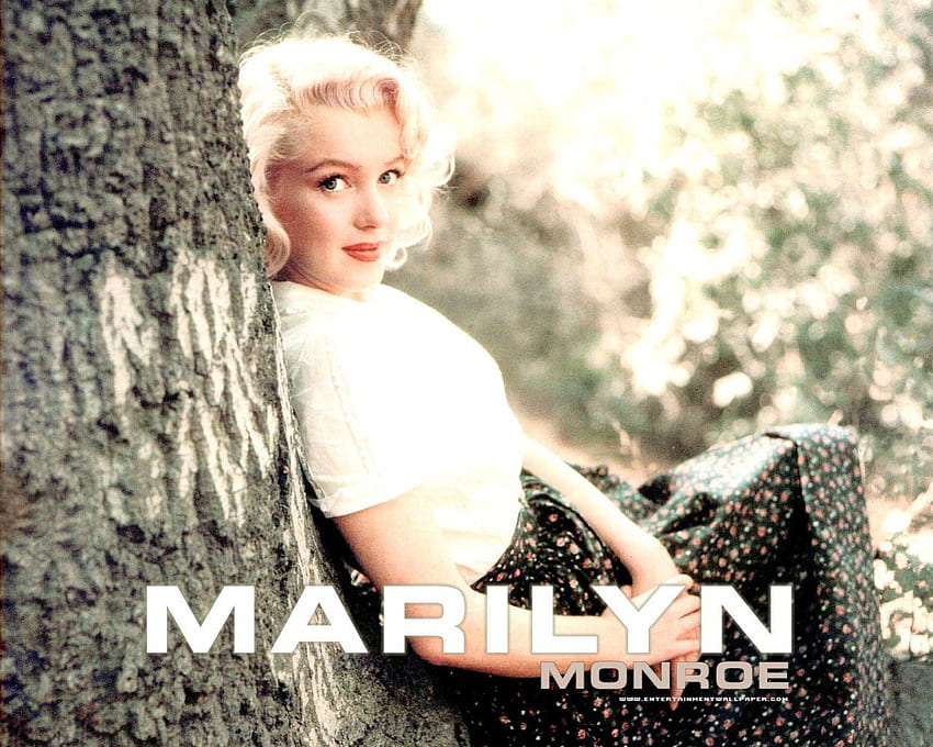 Мерилин Монро, блондинка, красива, бомба, прекрасна, филмова звезда, актриса, известна HD тапет