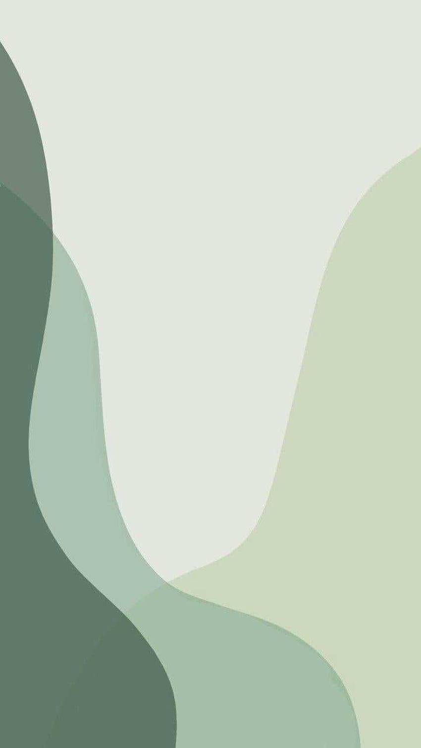 Sage hijau, latar belakang wallpaper ponsel HD