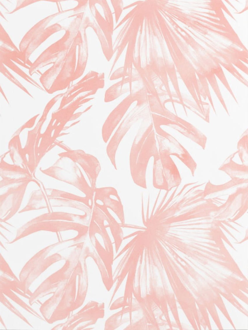 Simple Luxe のピンクの熱帯ヤシの葉。 ヤシの葉、パーム、リーフ、パステル リーフ HD電話の壁紙