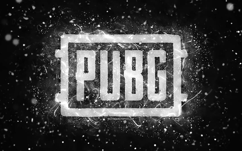 pubg logo ivisible background