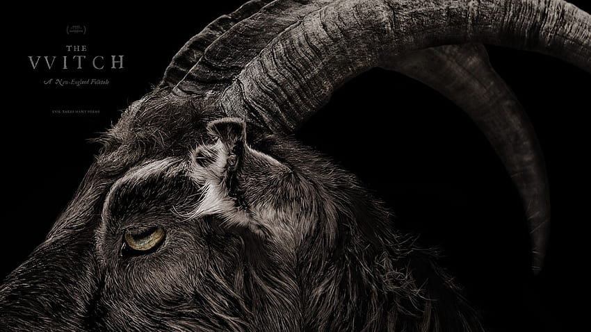 The Witch Movie 2015 exclusive Goat film poster, Black Goat HD wallpaper