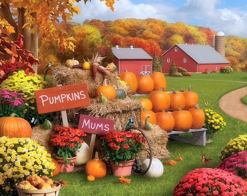 Fall Mums and Pumpkins, Fall Scene with Pumpkins Wallpaper HD