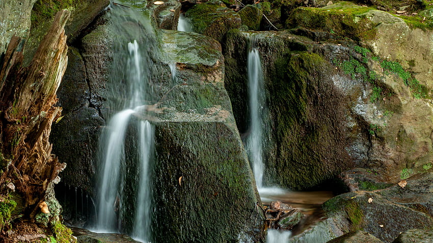 Detailansicht des Wasserfallstroms auf algenbedeckten Steinen schaukelt die Natur HD-Hintergrundbild