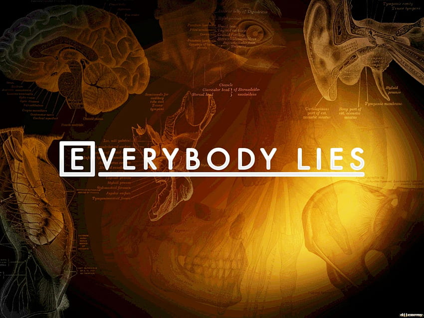Everybody Lies . HD wallpaper