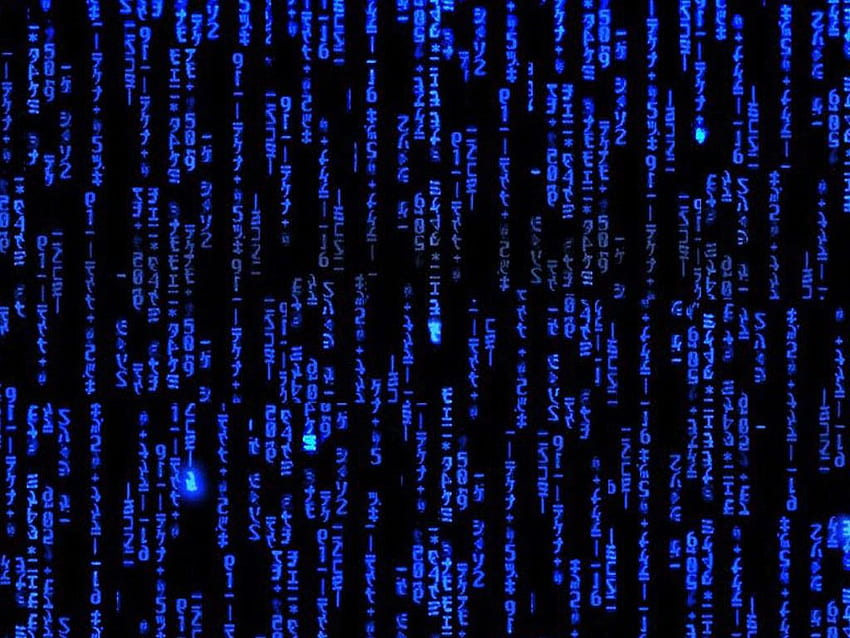 Grupo Matrix Animado - Matrix Japonês -, Blue Matrix papel de parede HD