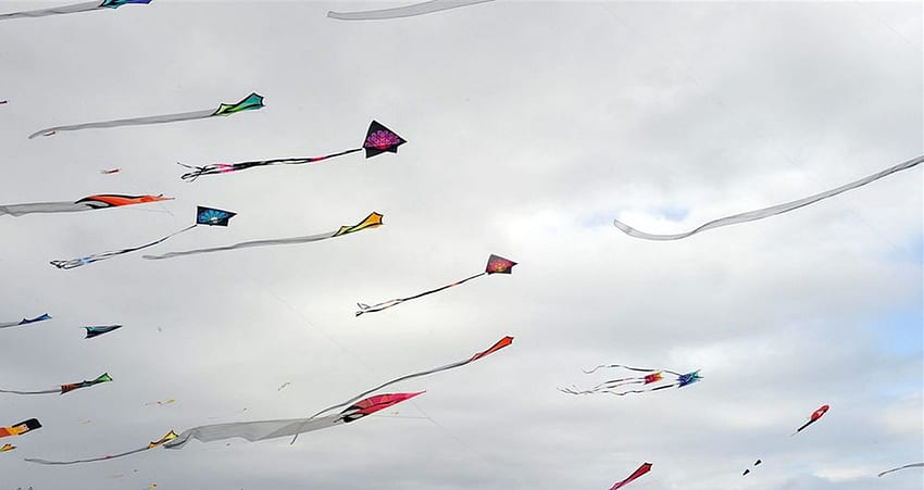 Go Fly A Kite, latawce latają, latawiec, latawiec latawiec Tapeta HD