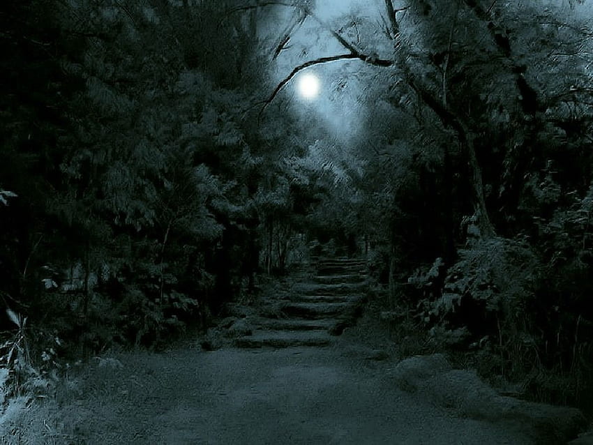 dark jungle - „Google“ paieška. Night forest, Dark forest, Forest background, Dark Forest Road Large HD wallpaper